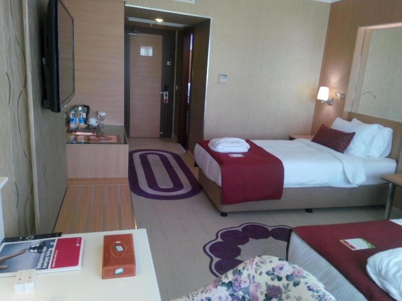 Standard Twin Room image 2