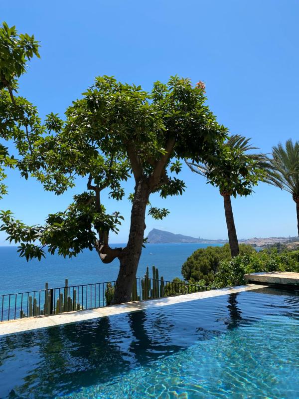 El jardin Botánico Villa LUZ - image 7