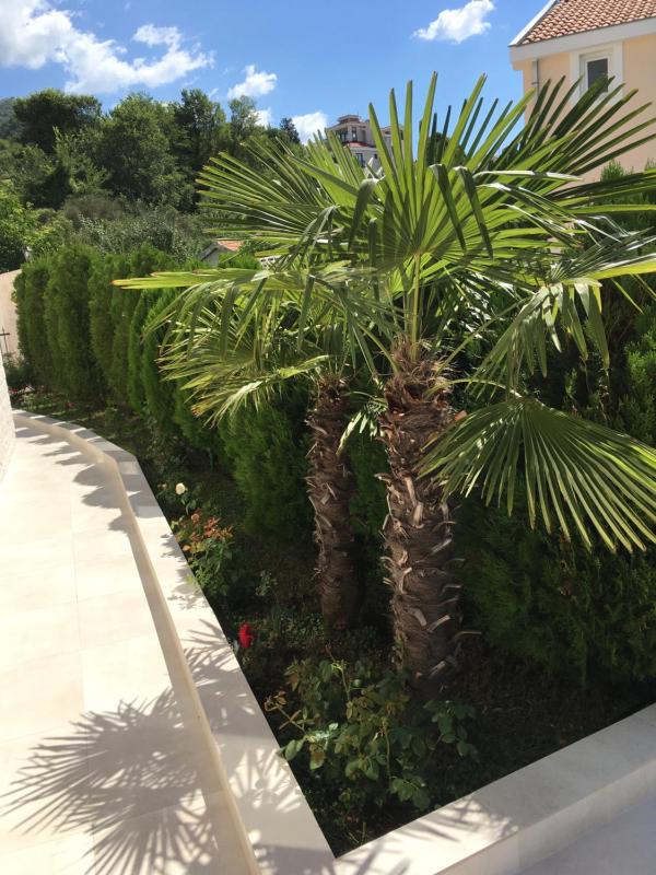 Villa with Private Pool image 3