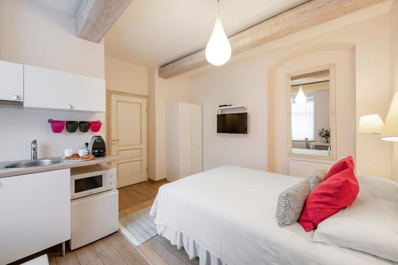 Classic Studio Apartment image 3
