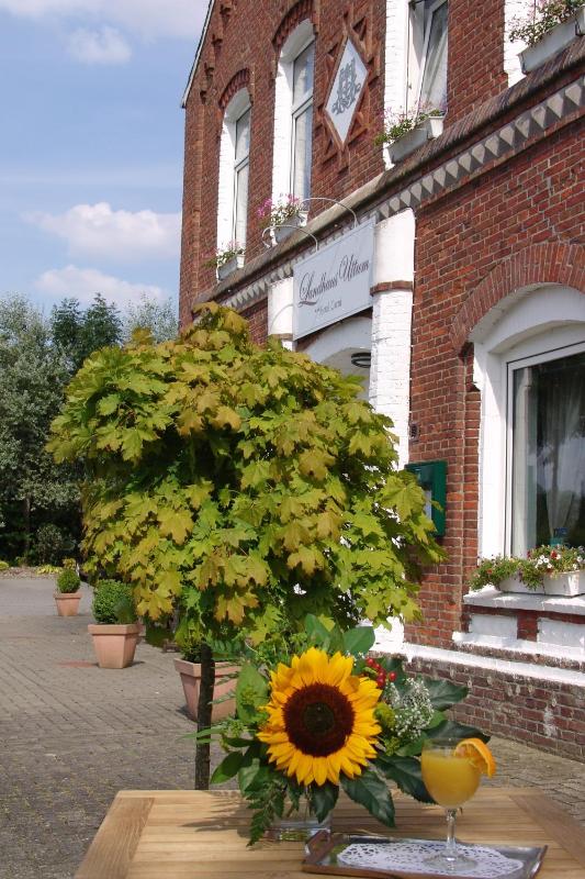 Hotel Garni Landhaus Uttum - image 4