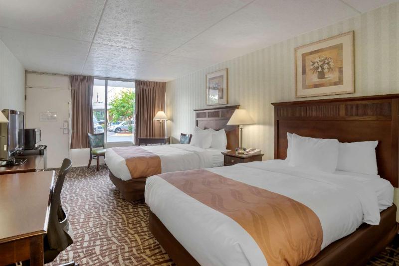 Double Room with Two Double Beds image 4
