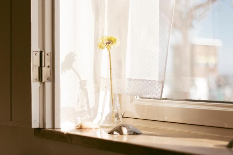 Casa Viana - Guesthouse - image 50
