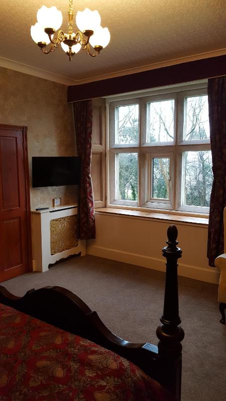 King Room image 1