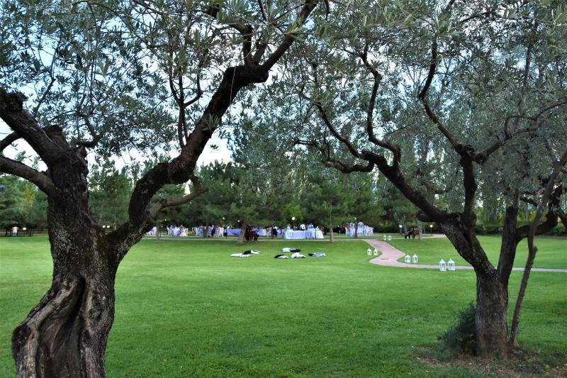 Classic Double Room image 1