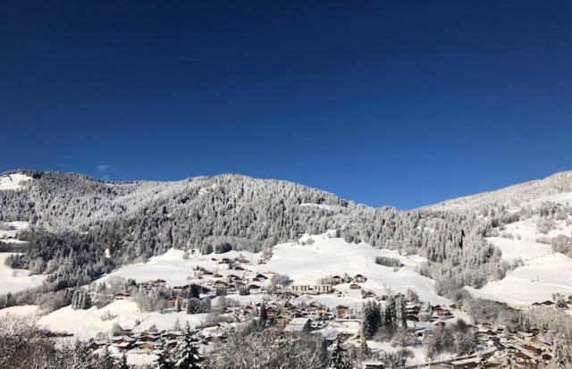 Très bel appartement avec Spa à Megeve Stallion D 25 - image 6