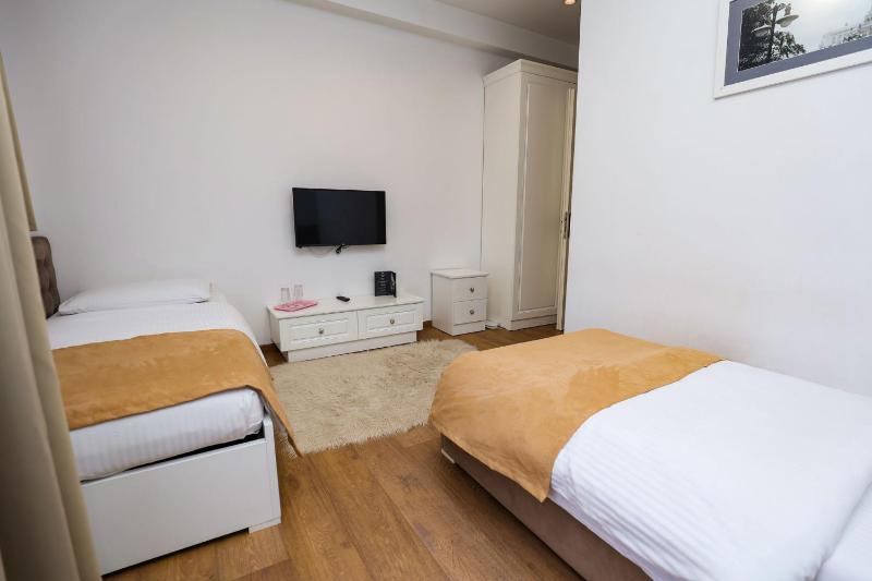 Deluxe Twin Room image 2