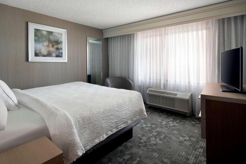 Guestroom King with Sofabed image 3