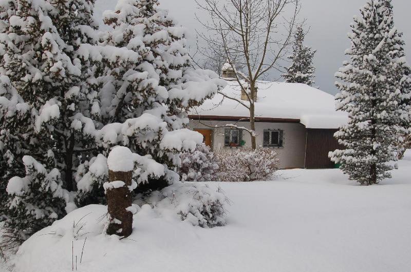 Studio Apartment with Garden Access image 3