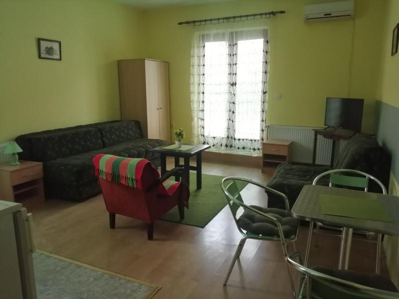 Studio with Terrace image 1