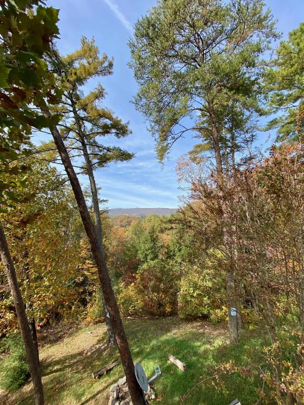 Little Bear Lodge - image 6