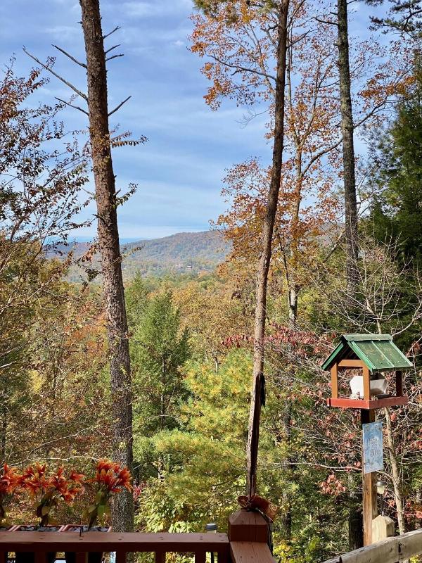 Little Bear Lodge - image 19
