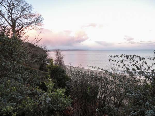 White Cottage Annexe - image 6