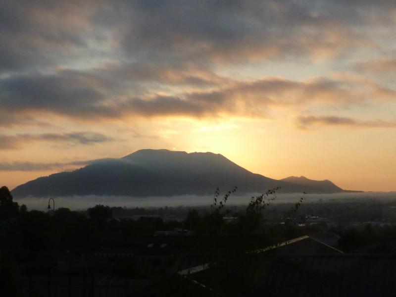 Punawai Homestay - image 4