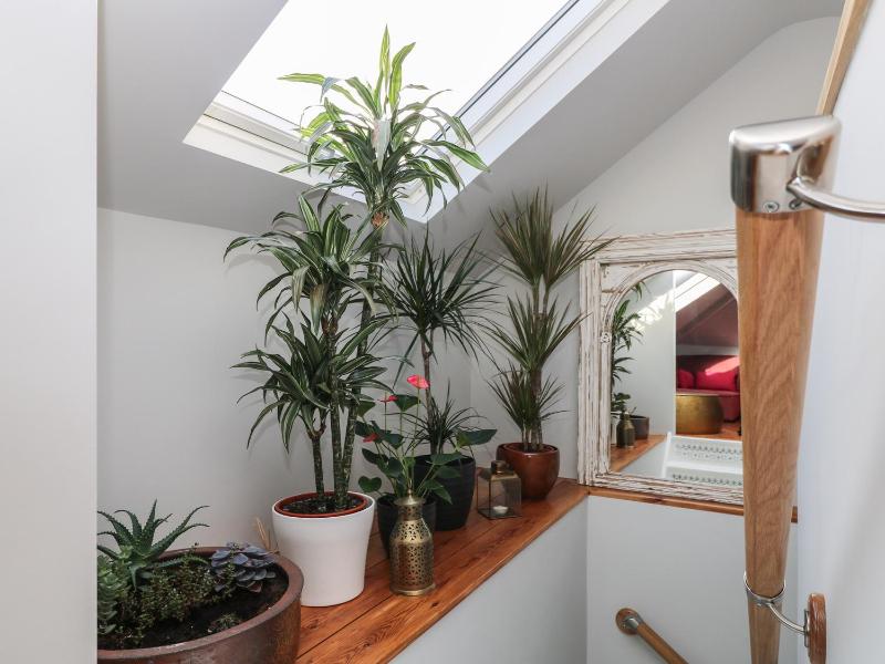 The Snug - image 2