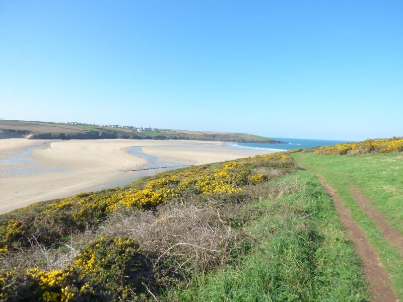 The Beach House - image 12
