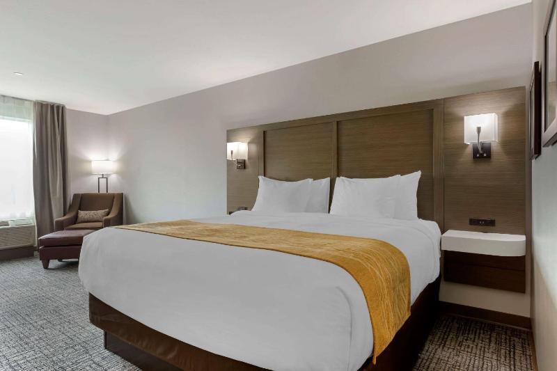 Standard King Room - Non Smoking image 4