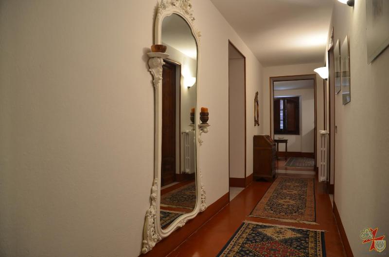 Donnaberarda - image 6
