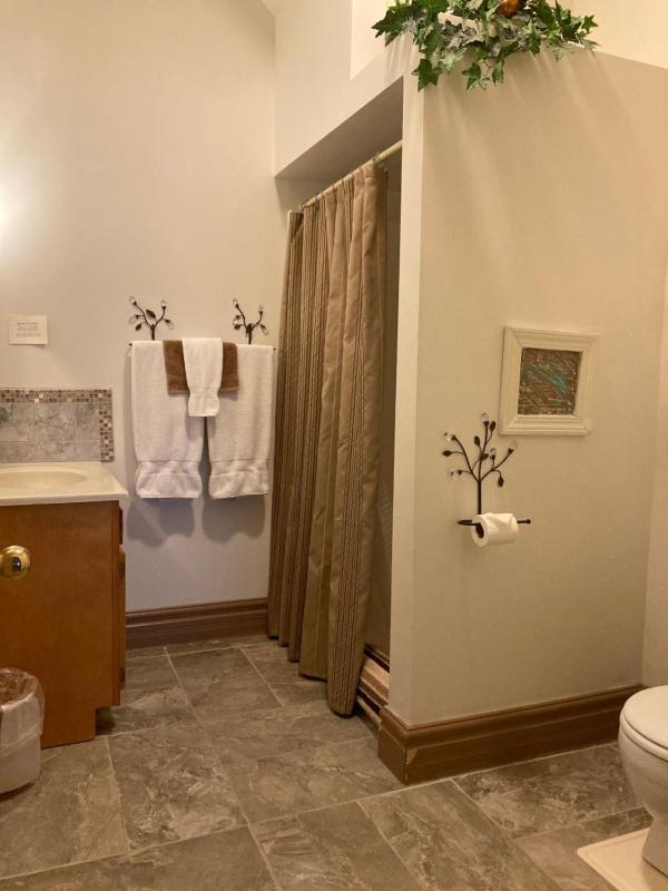 Deluxe Suite with Spa Bath image 3