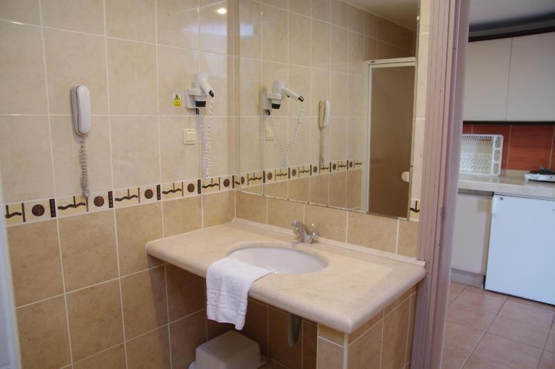 One-Bedroom Apartment (3 Adults) image 2