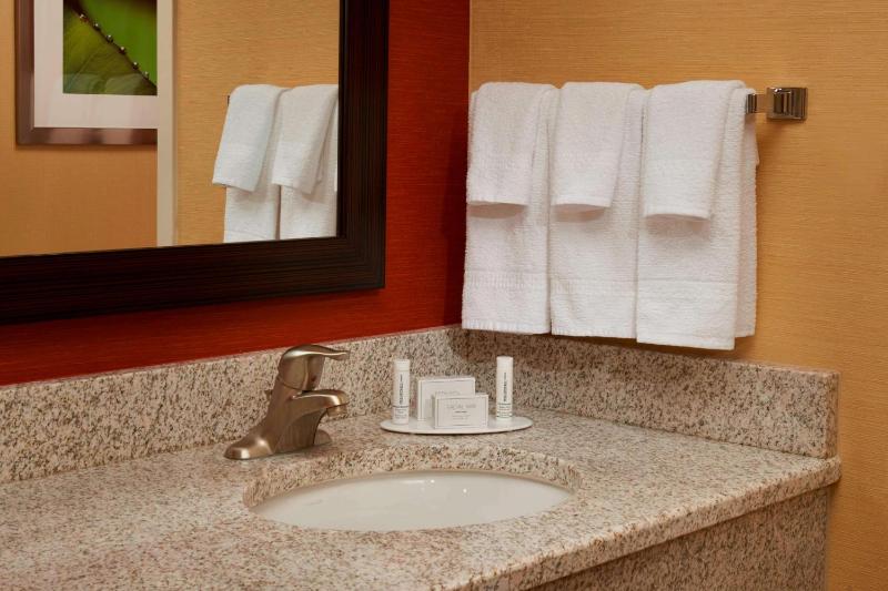 Mobility/Hearing Accessible Guestroom King Tub image 3