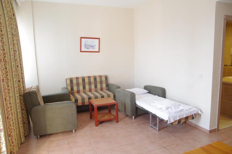 One-Bedroom Apartment (3 Adults) image 4