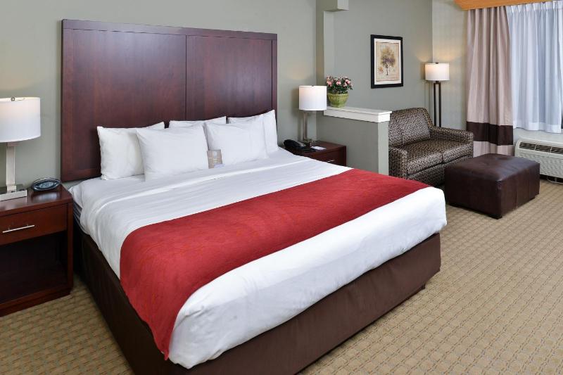 King Room - Accessible/Non-Smoking image 4