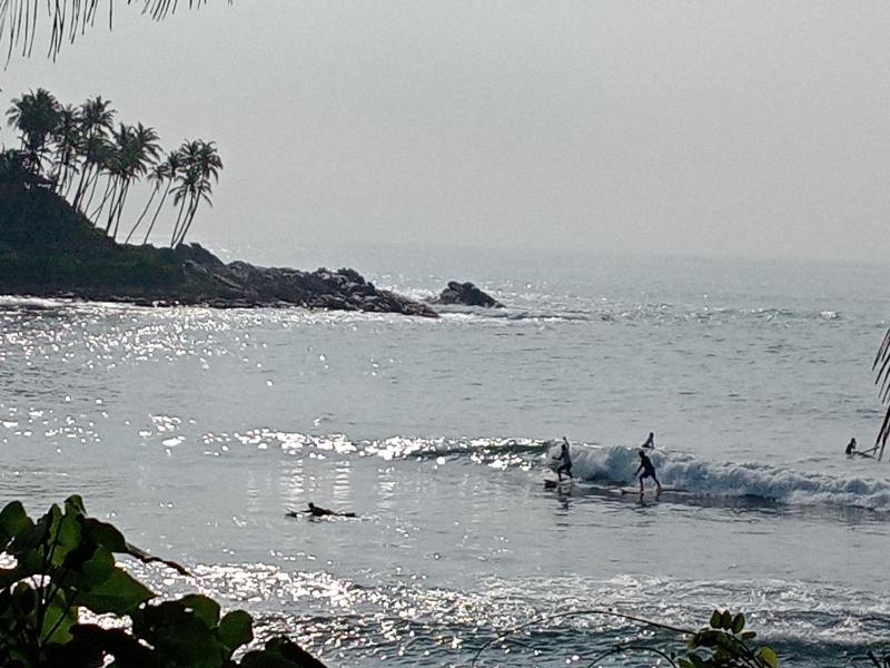 Surf Paradise - image 7