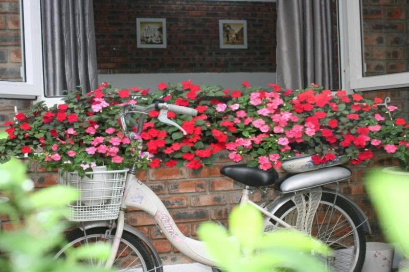 Loan Kim Homestay Huế - Venue Travel - image 8