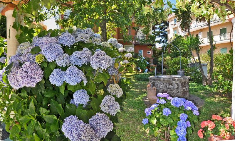 Hotel Villa Fernanda - image 10