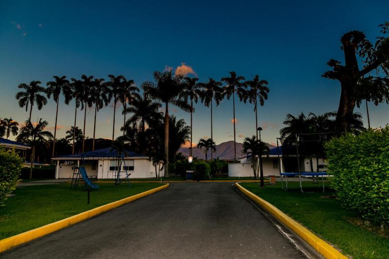 Hotel Palma Verde - image 46