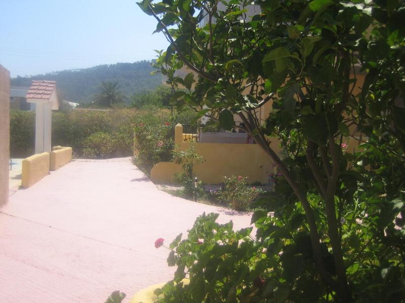 Apartment image 2