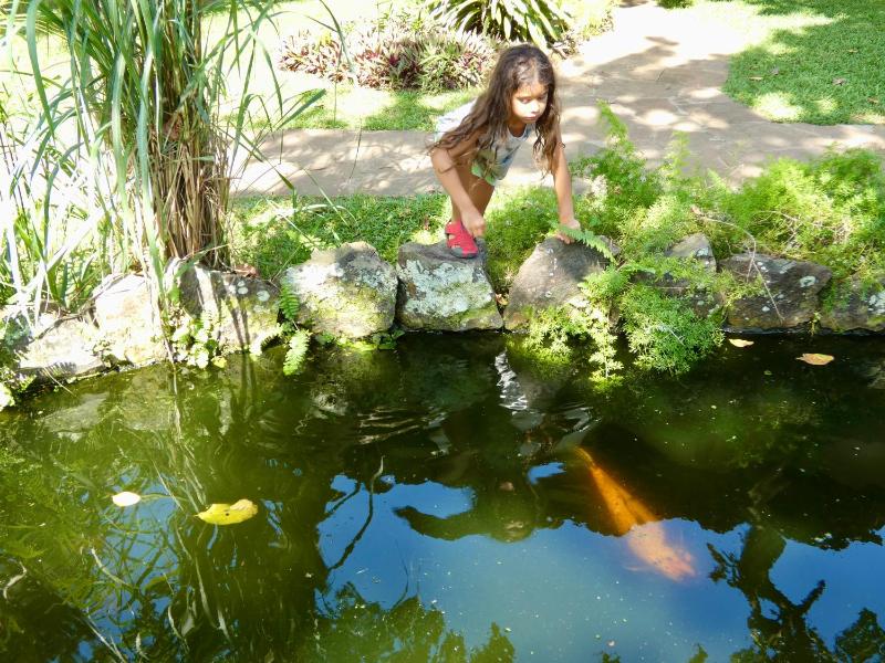 Pousada Coqueiro Verde - image 7