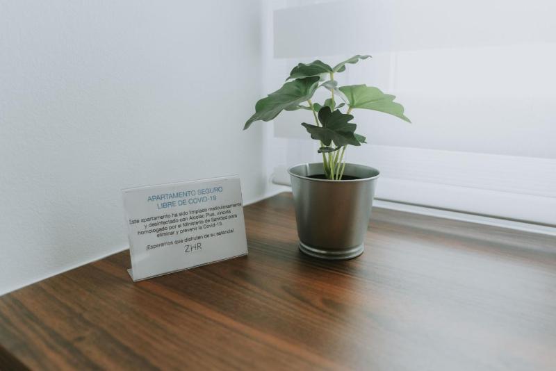 Two-Bedroom Apartment (4 Adults) image 4