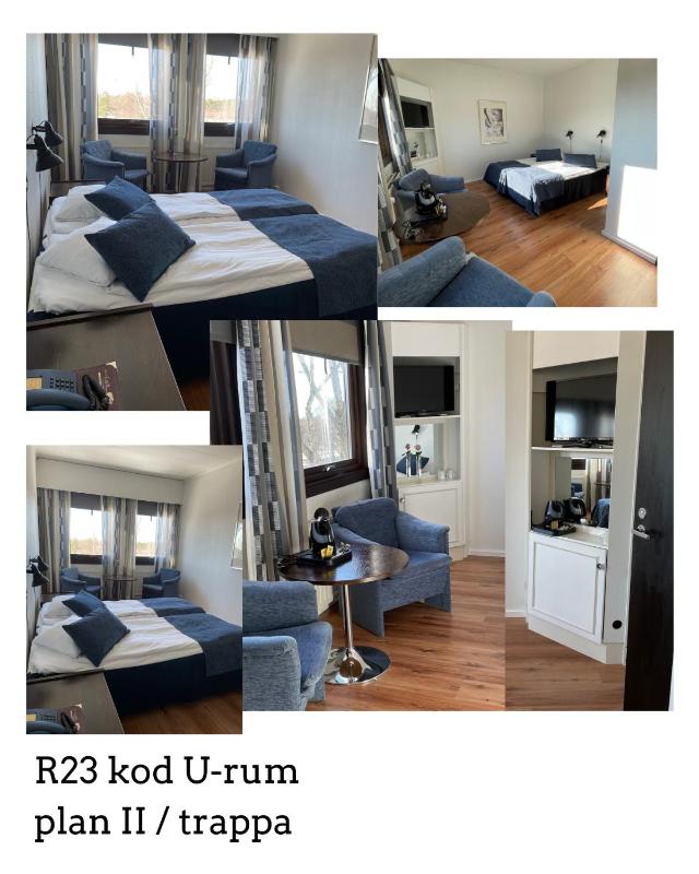 Standard Double Room image 4
