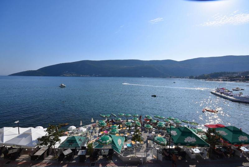 One-Bedroom Apartment image 2