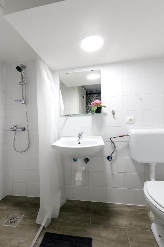 One-Bedroom Apartment image 2