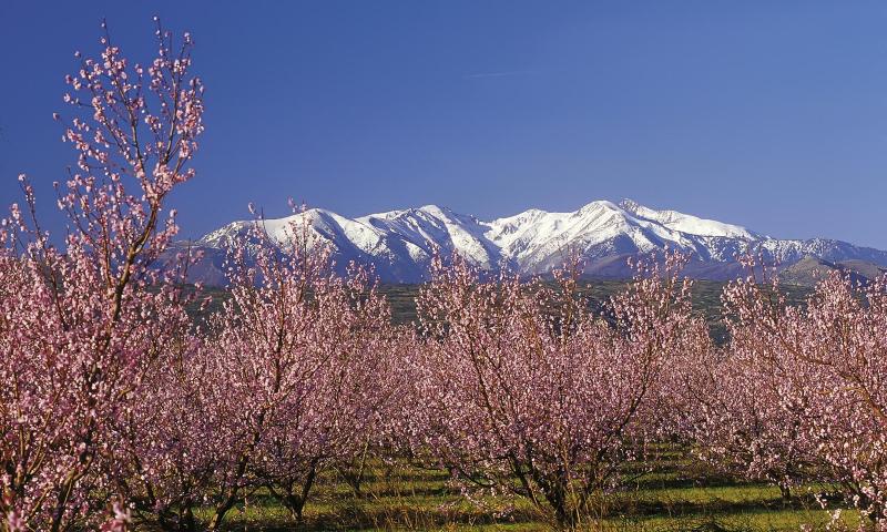 Campanile Perpignan Sud - image 10