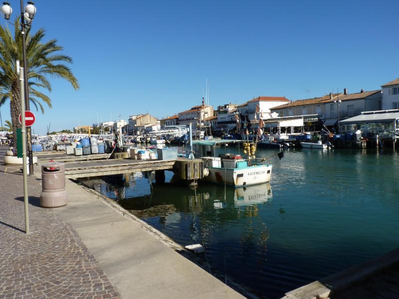Sol-y-Days Vidourle rive droite quartier calme 100m des plages et proche centre-ville - image 12