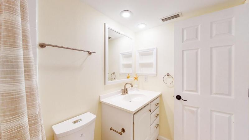 3 Water Oak - image 6