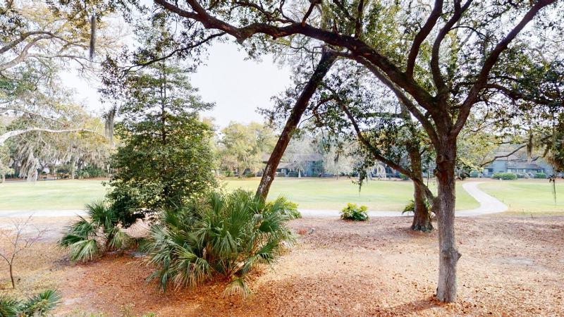 3 Water Oak - image 8
