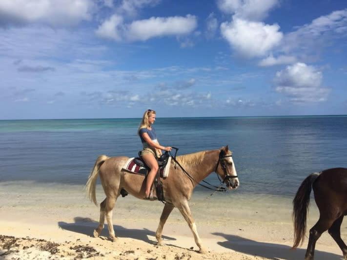 Beach Living at Island Pine Villas BLAW - image 8