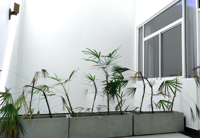 Villa Free Way - image 5