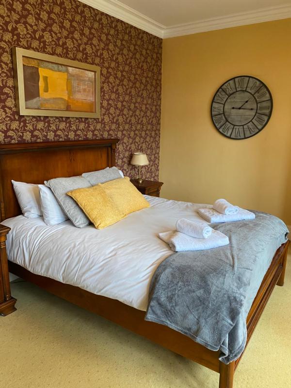 Deluxe Double Room image 1