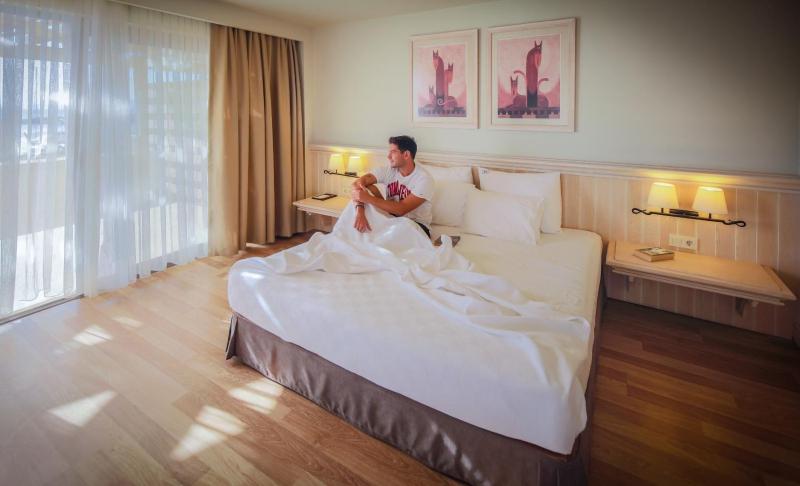 Deluxe King Room image 4