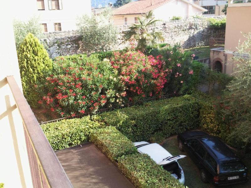 Casa Elite - image 2