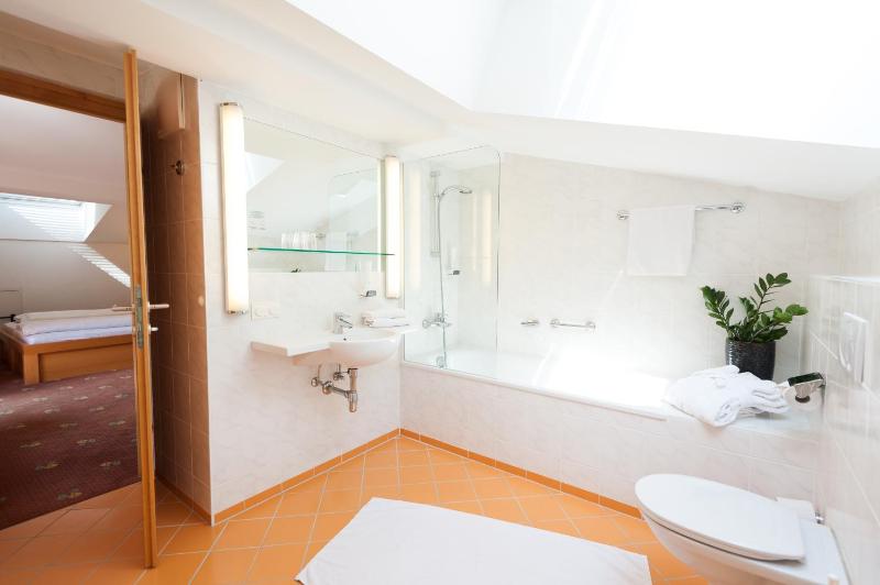 Superior Double Room image 4