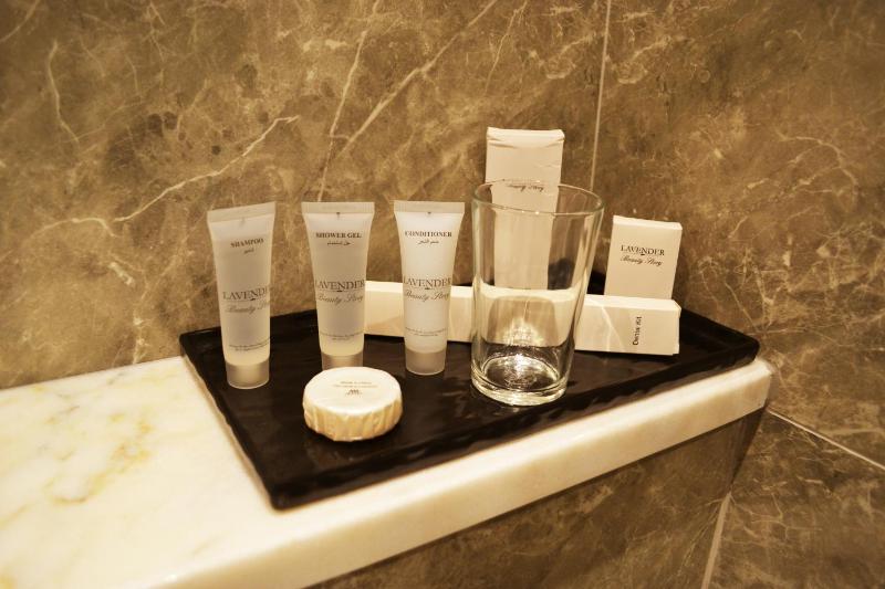 Ambassador a Boutique Hotel - image 15