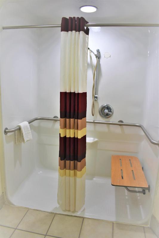 King Room with Roll-in Shower - Mobility Access/Non-Smoking image 3