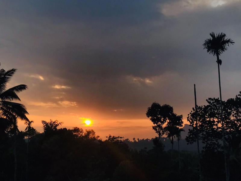 Munnar Hills Homestay - image 6